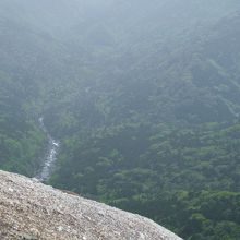 岩から下をのぞくと・・・