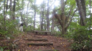 初心者でも楽しめます。