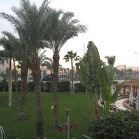 部屋のバルコニーからの眺め。ピラミッドは木の陰です