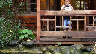 お茶だけ頂きました。