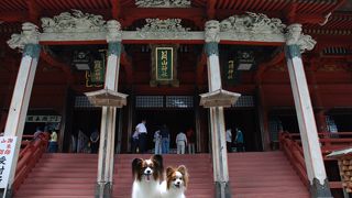 一度の参拝で３社分？