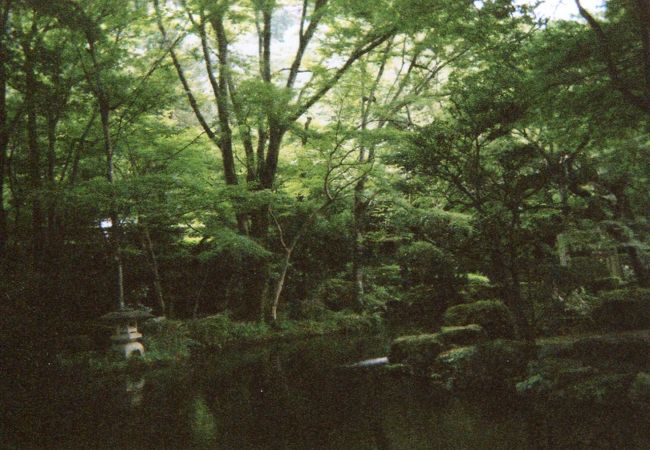 早朝の公園内。いやされます。