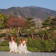 見晴らしの良い公園です