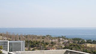 高台にある花壇