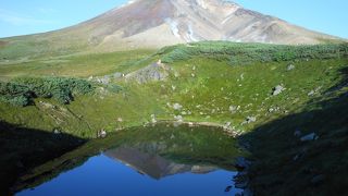 少し急な山登り！高山植物と池に映る旭岳！魅力が一杯！
