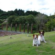 アップダウンのある公園