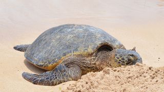 ☆近くで見れて感激☆