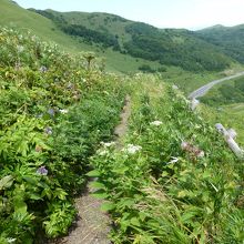 こんな感じの狭い道が多いです。