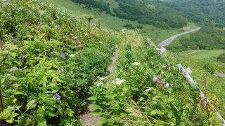 港から桃岩展望台までの道のり