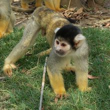 手をのばせば届く距離なんですけどね〜