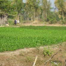 周りは畑が多いです。