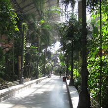 駅構内の植物園?