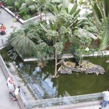駅構内の植物園?
