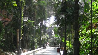 植物園があります