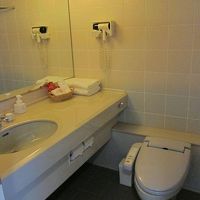 バスタブ仕切りはカーテンではなく透明の仕切り板です。