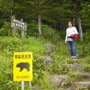 夏場は涼しかった