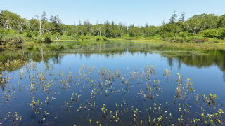 息をのむ美しさ