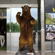 入口でクマがお出迎え