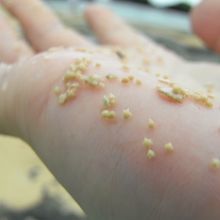 ほらこんなに！簡単に見つかります。