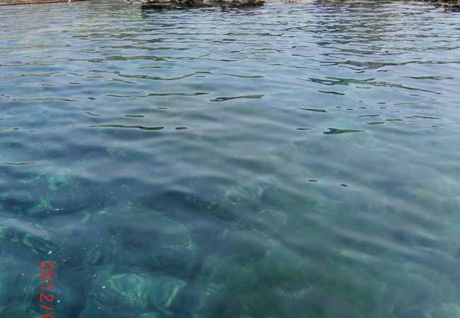 だまされた?!ガラ空き・貸し切りだけど遊覧に出てくれず浅瀬でお茶を濁される…(涙)。