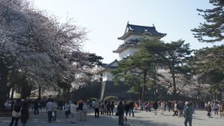 首都圏で唯一天守閣が残る小田原城