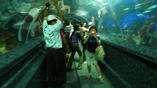 どの国のも似たりよったりですね