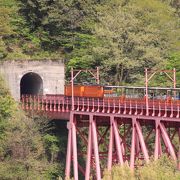 車窓からのパノラマがすごい！電車の種類も選べます