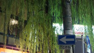 艶っぽいエピソードのある柳