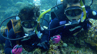 初めて体験ダイビング