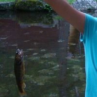 イワナ釣り。結構釣れます。