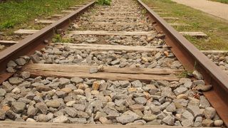 写真を撮るには良いかも