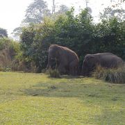 チトワン国立公園の見どころ