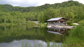 志賀高原に多数点在する池湖沼群の中のひとつ。交通の便も良好。