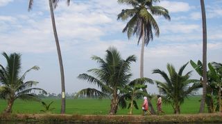 船で１泊のんびり旅