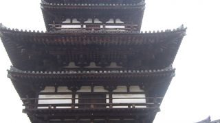 修理直前の東塔にいってきました。