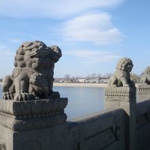 狛犬？がいっぱい