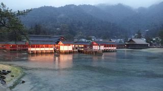 ライトアップが幻想的