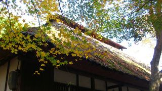 箱根観光の途中に