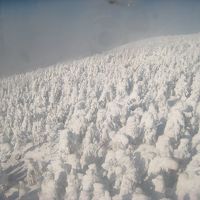 ロープウェイからの眺めです