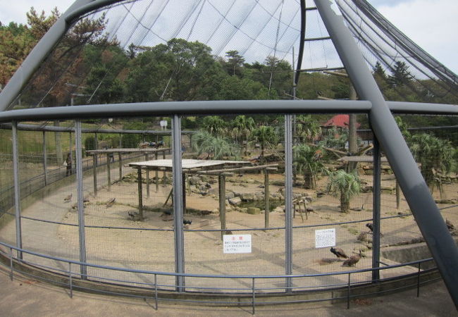 大崎くじゃく園 クチコミ アクセス 営業時間 大村 波佐見 長崎空港 フォートラベル