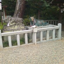 社殿横に牛の