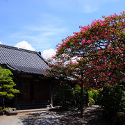 頼朝の祈願所