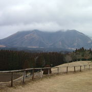 「新・くまもと百景」で堂々一位に選ばれ、阿蘇五岳の一つである根子岳が美しいと聞いて訪ねました