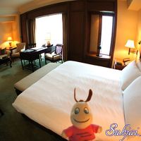 高層階の窓からの風景は最高です。