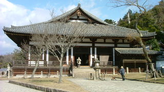 本尊の不空羂索観音立像のほか、日光・月光菩薩立像、執金剛神立像が有名