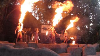 う～ん、暗くて見づらい～！