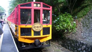 トロッコに揺られて雄大な景色が楽しめる。