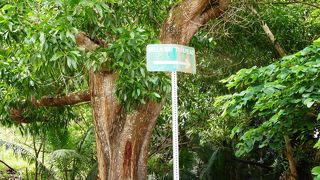 見落としやすい標識しかありません