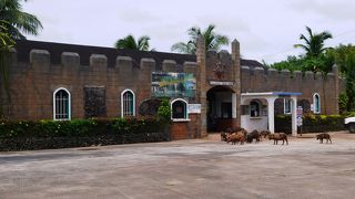 横井庄一さんに思いをはせて…