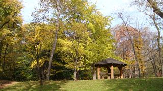 都会のオアシス